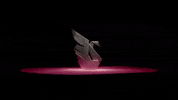 Cinema Swan GIF by The Marias