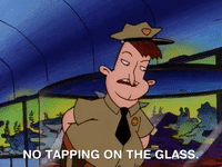 hey arnold nickelodeon GIF