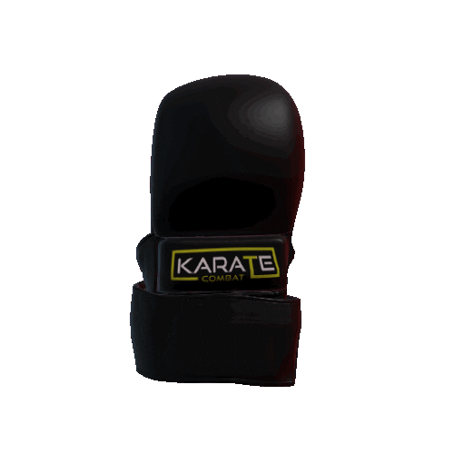 glove blackbelt Sticker by Karate Combat