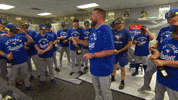 Celebrate Blue Jays GIF by Toronto Blue Jays