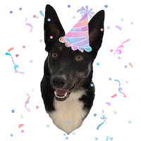 Confetti Sticker