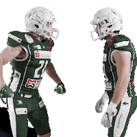Football Nfl Sticker by Schwäbisch Hall Unicorns