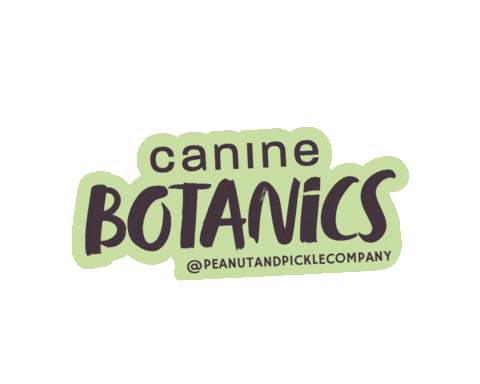 Doggrooming Dog Shampoo Sticker by Peanut and Pickle