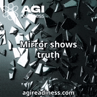 Sarcastic Mirror GIF by AGIReadiness