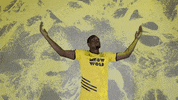 Black And Yellow Celebration GIF by New Mexico United