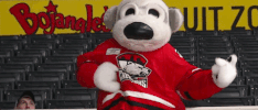 guitar mascot GIF by Charlotte Checkers