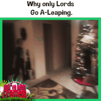 ITV GIF by You've Been Framed!