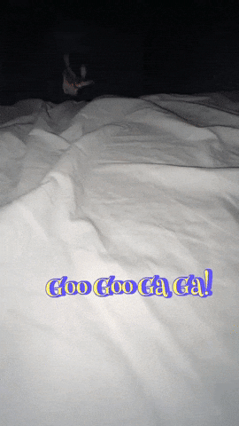 Googoogaga GIF