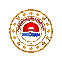 Rte Receptayyiperdogan Sticker by BursaBuyuksehir