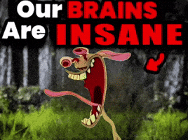 Ren And Stimpy Nickelodeon GIF