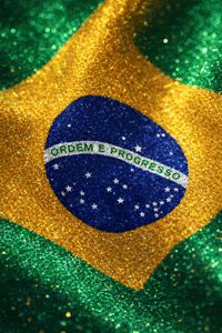 Brazil Vamos Brasil GIF