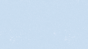 thefloridaaquarium snowdays floridaaquarium GIF
