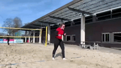 Volleyball GIF by VCV
