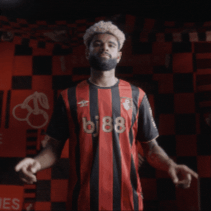 Premier League Celebration GIF by AFC Bournemouth
