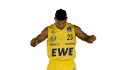 Ewe Baskets Sport Sticker by EWE Baskets Oldenburg