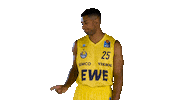 Ewe Baskets Sport Sticker by EWE Baskets Oldenburg