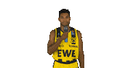 Ewe Baskets Basketball Sticker by EWE Baskets Oldenburg