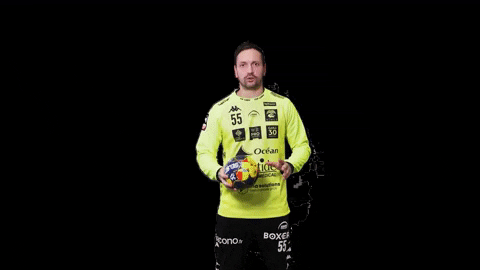 Handball Teo GIF by USAM NIMES GARD