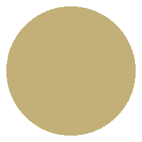 Circle Dots Sticker by Brand by Mirelle