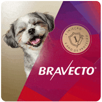Bravecto GIF by MSD Família Pet