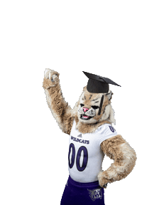 Weber State Waldo Wildcat Sticker by Weber State University