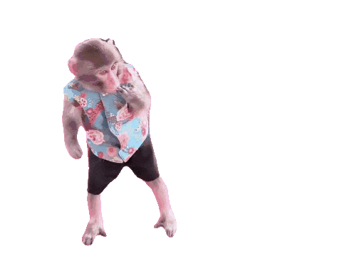 Fun Monkey Sticker
