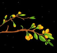 Art Animation GIF by Lucie Mullen