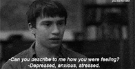 stressed its kind of a funny story GIF