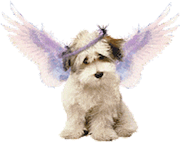 puppy angel STICKER