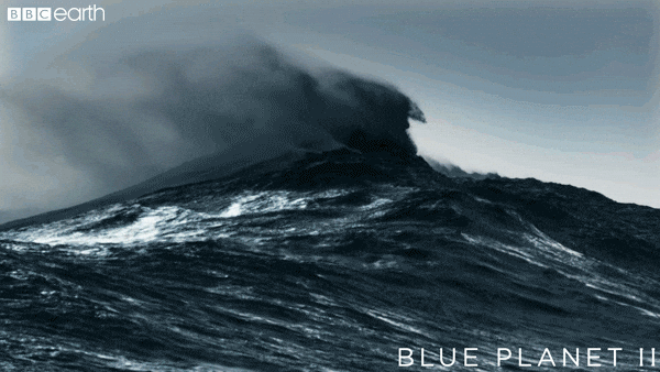 blue planet sea GIF by BBC Earth