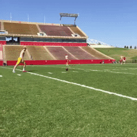 Iowa State Cyclones GIF by Iowa State