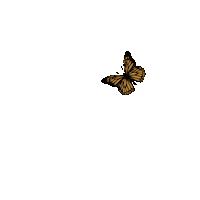 that_gypsy_angelina nature gold pretty flying Sticker