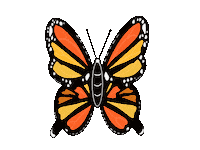 Monarch Butterfly Love Sticker
