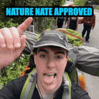 natewilbourne nature new zealand mother earth nate wilbourne GIF