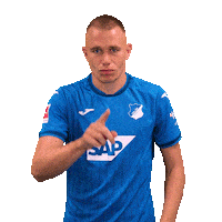 Not In My House Sport Sticker by TSG Hoffenheim