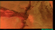 Toho GIF