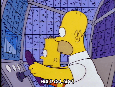 homer simpson GIF