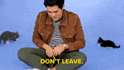 Dont Leave Me Crazy Rich Asians GIF by BuzzFeed