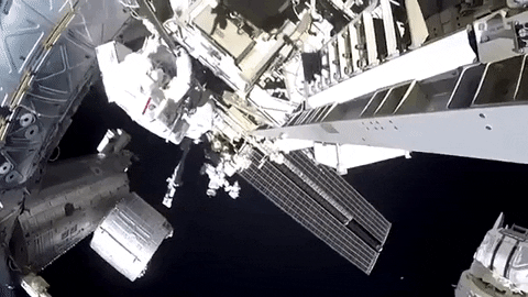 tulsimo giphygifmaker GIF