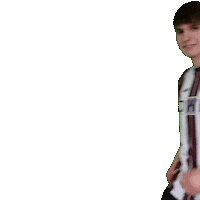 Heinrich Celebrating Sticker by BFC Dynamo