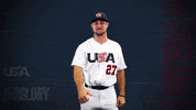 Pro GIF by USA Baseball