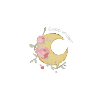 Liomi_co beauty health good night collagen Sticker