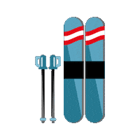 Winter Ski Sticker by Visit Austria