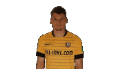 DynamoDresden cool celebrate goal bundesliga Sticker
