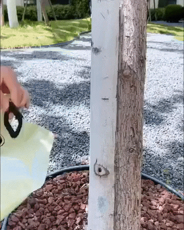 letscartpk giphyupload GIF