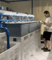 Jump Feliz GIF by AquaSmart Oficial