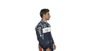 Race Smile Sticker by fiawec