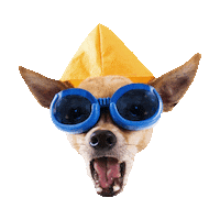 excited fun STICKER by imoji
