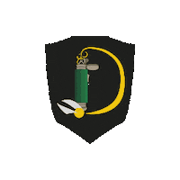 DeluminatorsDresdenQuidditch dresden quidditch iqa quadball Sticker