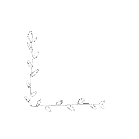 Drawing Plant Sticker